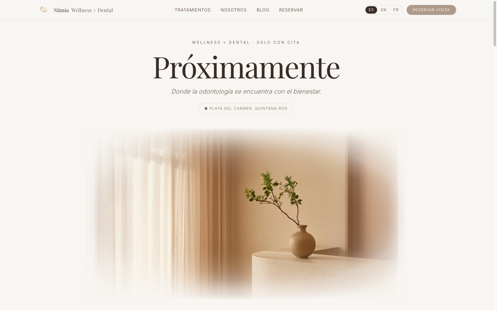 Sitio de Nümia Dental Wellness
